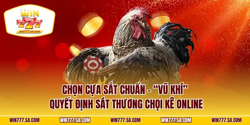 Chọn cựa sắt chuẩn – “vũ khí” quyết định sát thương chọi kê online