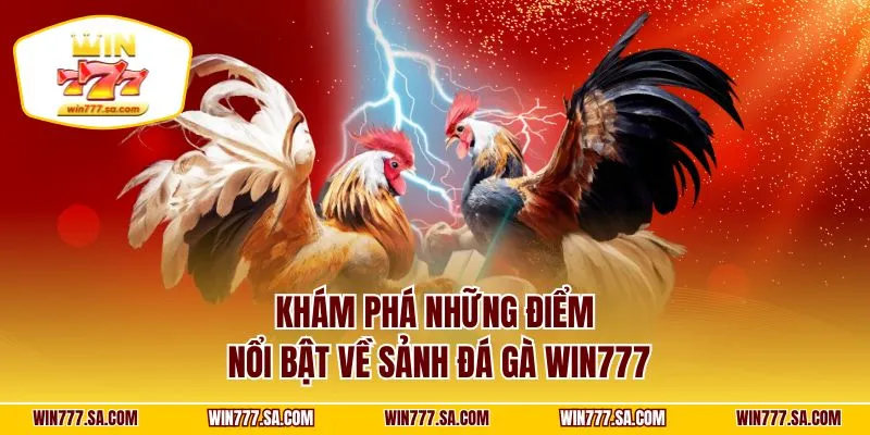 Khám phá những điểm nổi bật về sảnh đá gà WIN777